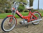 Puch Maxi N, Fietsen en Brommers, Brommers | Puch, Ophalen, 1 versnellingen, Klasse B (45 km/u), Zo goed als nieuw