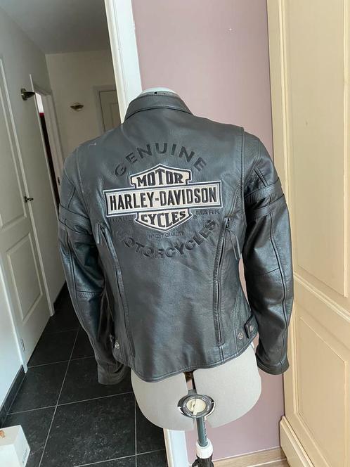 Harley Davidson ‘echt leder’ = duurzaam!, Motos, Vêtements | Vêtements de moto, Enlèvement