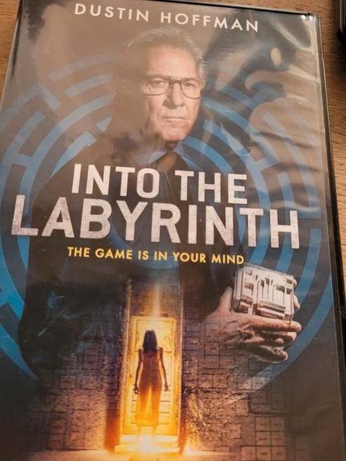 Into The Labyrinth "le jeu est votre esprit", CD & DVD, DVD | Thrillers & Policiers, Comme neuf, Autres genres, À partir de 16 ans