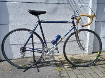 Collector Olmo 1978