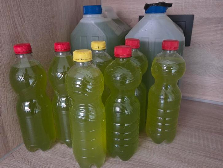 Plankton, Maison & Meubles, Accessoires pour la Maison | Cloches, Enlèvement ou Envoi