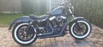 Harley Davidson Sporster Forty-Eight 1200cc, Motoren, Motoren | Harley-Davidson, Particulier