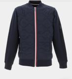 Veste tommy hilfiger, Kleding | Heren, Jassen | Winter, Zo goed als nieuw, Blauw, Tommy hilfiger