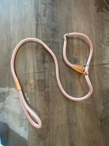 Nieuwe hondenriem Te Koop beschikbaar voor biedingen