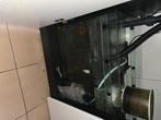 Aquarium red sea 650 eau de mer, Dieren en Toebehoren, Ophalen, Gebruikt, Gevuld zeewateraquarium