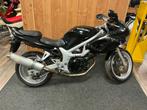 Suzuki Tour SV650S 1999, Motos, Motos | Suzuki, Entreprise, Autre
