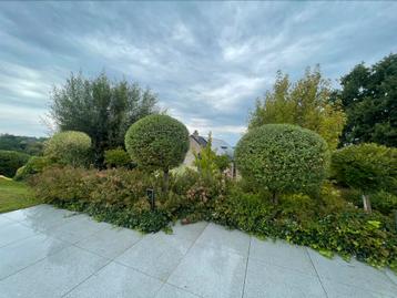 Service de JARDINAGE beschikbaar voor biedingen
