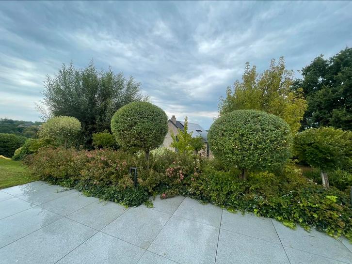 Service de JARDINAGE, Diensten en Vakmensen, Tuinmannen en Stratenmakers, Tuinonderhoud of Snoeiwerk
