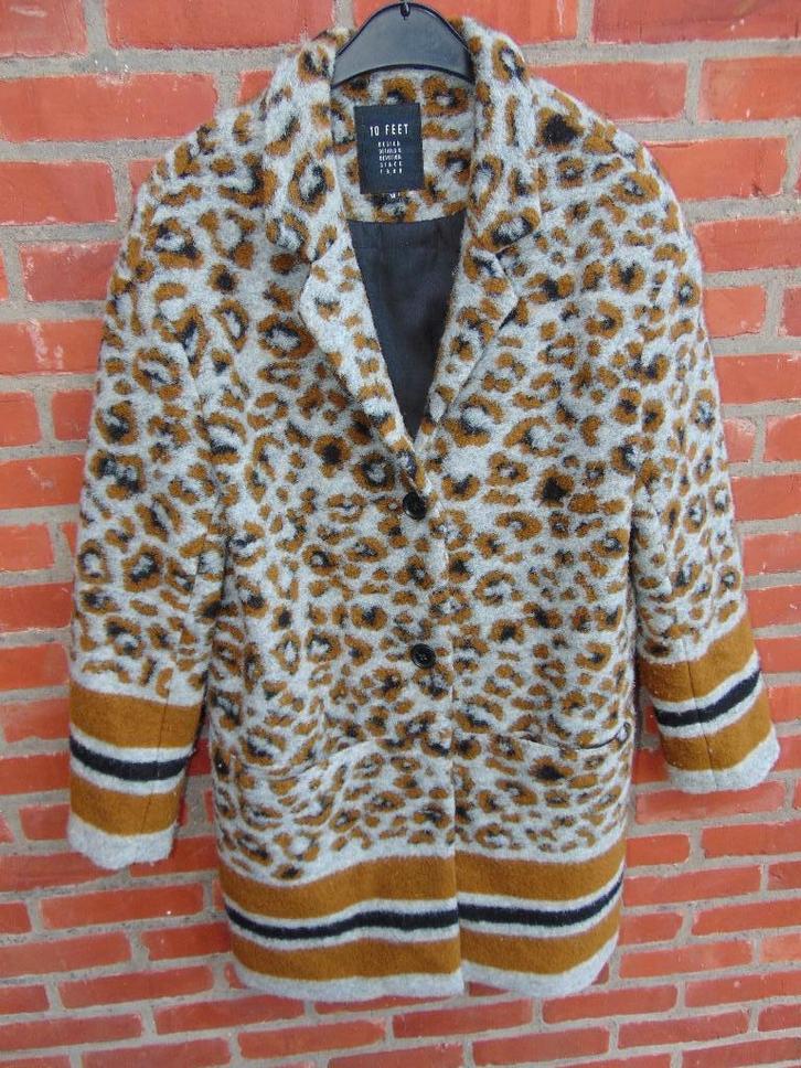 Jas met wol in nette staat, Kleding | Dames, Jassen | Winter, Gedragen, Maat 38/40 (M), Grijs, Ophalen of Verzenden