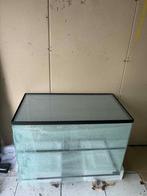 Knaagdier terrarium, Dieren en Toebehoren, Ophalen, Gebruikt, Hok, Hamster