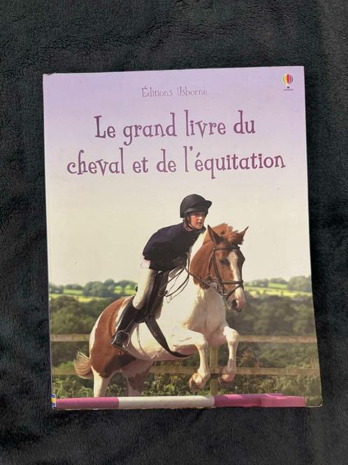 Le grand livre du cheval et de l'équitation, Livres, Animaux & Animaux domestiques, Utilisé, Chevaux ou Poneys, Enlèvement ou Envoi