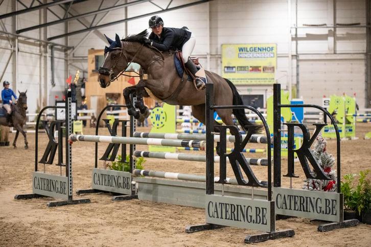 Springpaard te koop, Animaux & Accessoires, Chevaux, Jument, M, 165 à 170 cm, 7 à 10 ans, Cheval de saut, Avec pedigree, Avec puce électronique