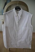 Blouse Massimo Dutti (Nouveauté !), Taille 42/44 (L), Enlèvement ou Envoi, Blanc, Neuf