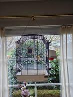 Kanarie 1.5 jaar  met kooi ., Dieren en Toebehoren, Vogels | Kanaries, Mannelijk, Zangkanarie