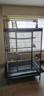 cage à perroquets, Animaux & Accessoires, Enlèvement, Neuf, Métal, Cage à oiseaux