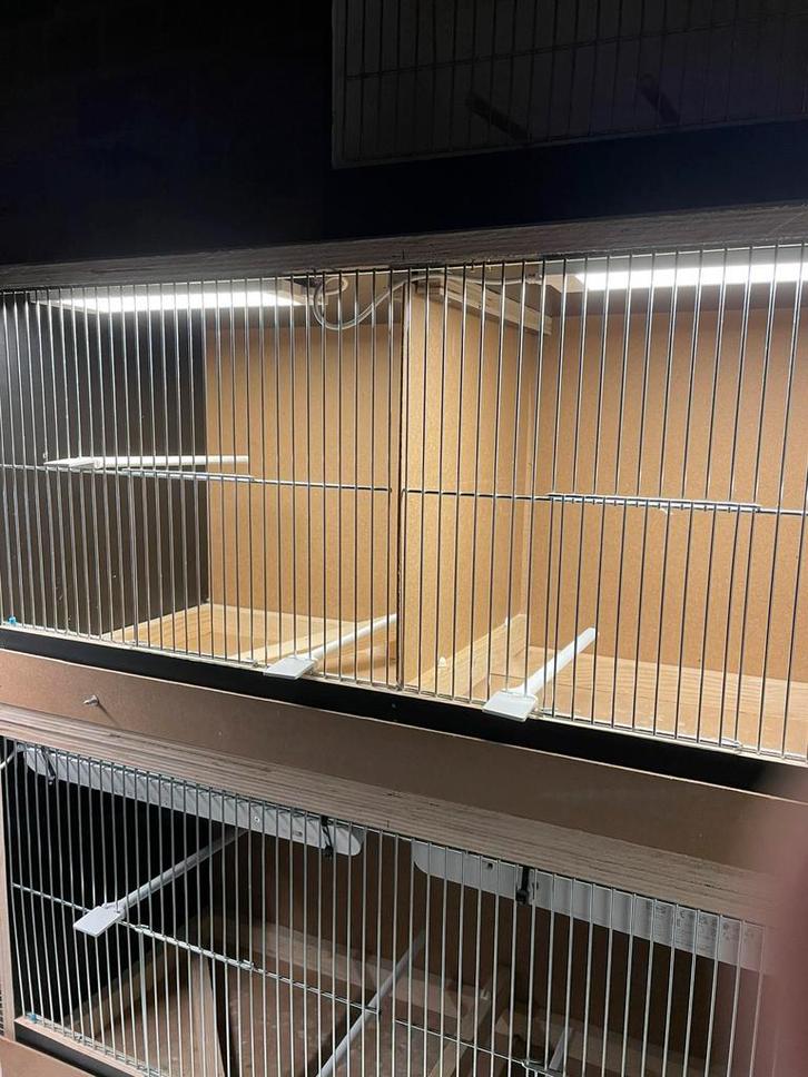 A vendre deux cages d'élevage en plexiglas de béton, Animaux & Accessoires, Oiseaux | Cages & Volières, Cage d'élevage, Bois, Enlèvement