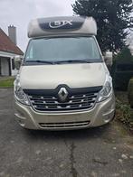 Transporteur de chevaux STX version étalon, construit le 11/, Animaux & Accessoires, Enlèvement