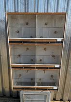 Kweekkooien, Dieren en Toebehoren, Ophalen, Zo goed als nieuw