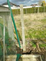 betonpaal weidepaal, Tuin en Terras, Ophalen, Gebruikt, 180 tot 250 cm, Palen