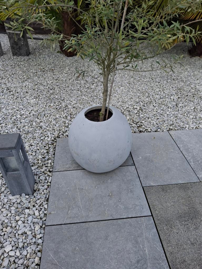 2 bloempotten zonder olijfbomen , peer model, Ophalen