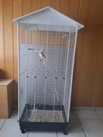 Vogelkooi + valkparkiet, Ophalen, Vogelkooi