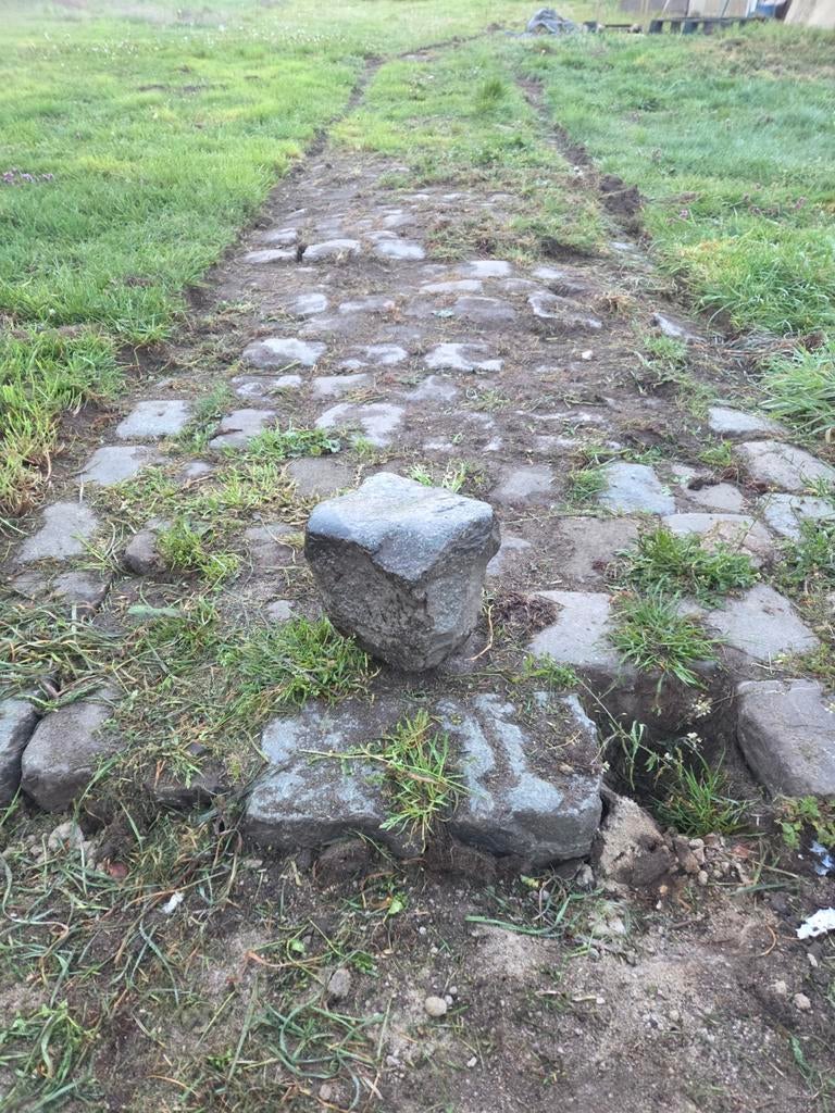 Kasseien - gratis af te halen - ongeveer 30m², Ophalen