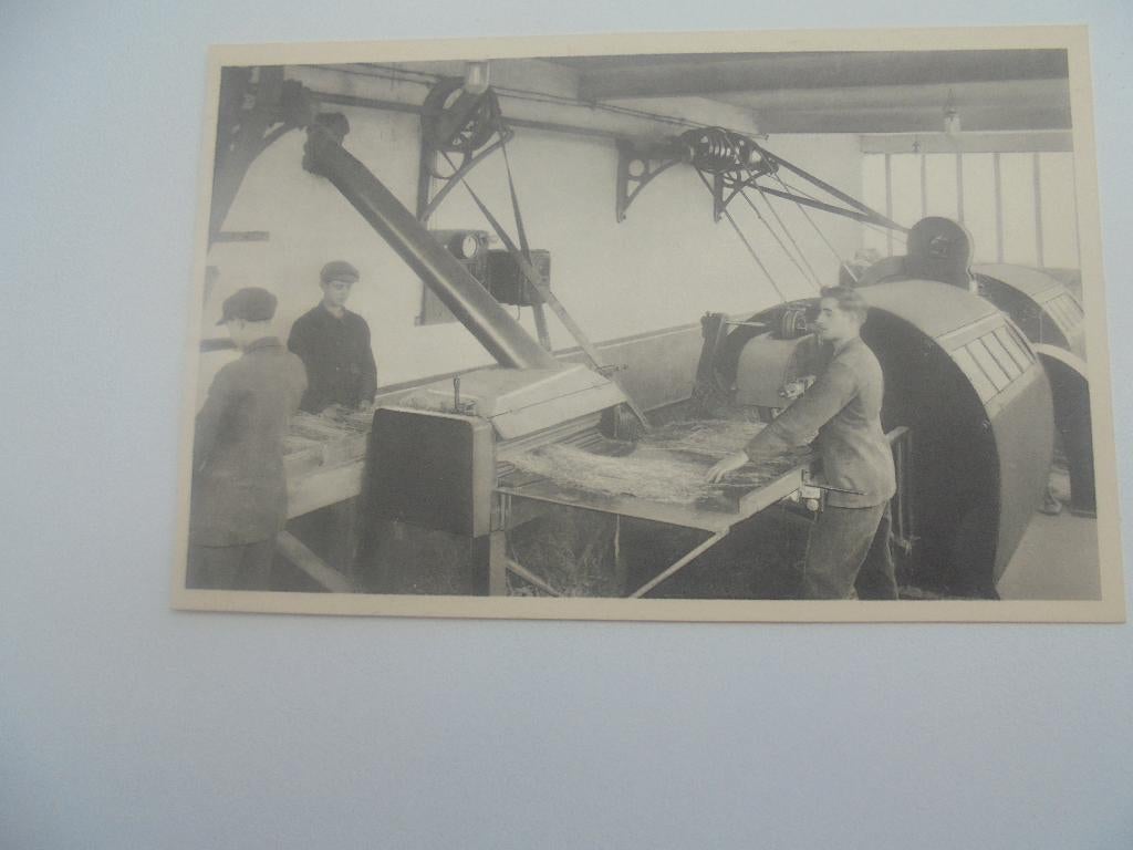 vlasteelt- zwingelturbine vansteenkiste, Envoi, 1920 à 1940, Non affranchie, Flandre Occidentale