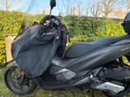 Honda pcx 125, Motoren, Motoren | Honda, Scooter, Particulier, 125 cc, 11 kW of minder