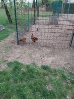 afsluiting voor dieren, Tuin en Terras, Gaas en Draad, Ophalen, Gebruikt