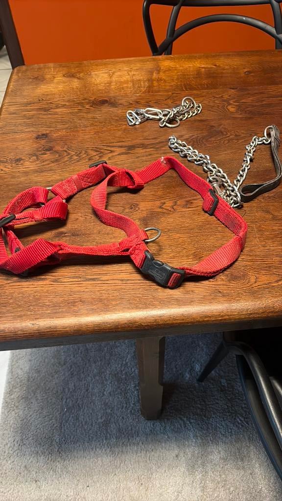 Harnais  chien, Animaux & Accessoires, Enlèvement ou Envoi, Comme neuf