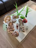 Aquarium plastic sierplanten en stenen versieringen, Ophalen of Verzenden, Gebruikt, Sierelement