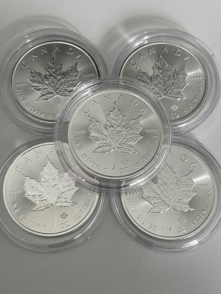5 magnifiques pièces 1oz argent Maple Leaf dans une capsule, Timbres & Monnaies, Métaux nobles & Lingots, Argent, Enlèvement ou Envoi