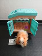 Little live pets Cavia, Ophalen of Verzenden, Zo goed als nieuw