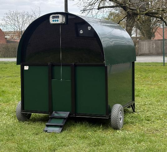 Kippeknhok Calimero large groen, Animaux & Accessoires, Volatiles | Accessoires, Enlèvement