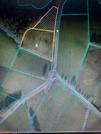 Te landbouwgrond 55 are., HAMONT-ACHEL, Verkoop zonder makelaar, 1500 m² of meer