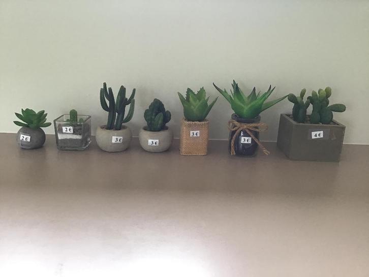 Plantes artificielles - Succulentes en pot 7 pièces, Maison & Meubles, Accessoires pour la Maison | Plantes & Fleurs artificielles