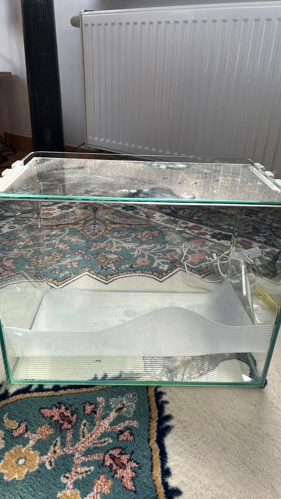 Aquarium avec accessoires, Enlèvement, Pompe, Comme neuf, Aquarium d'eau douce rempli