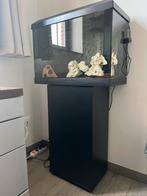 Juwel primo 70, Dieren en Toebehoren, Ophalen, Zo goed als nieuw