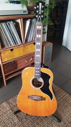 Akoestische gitaar Eko 5, Enlèvement