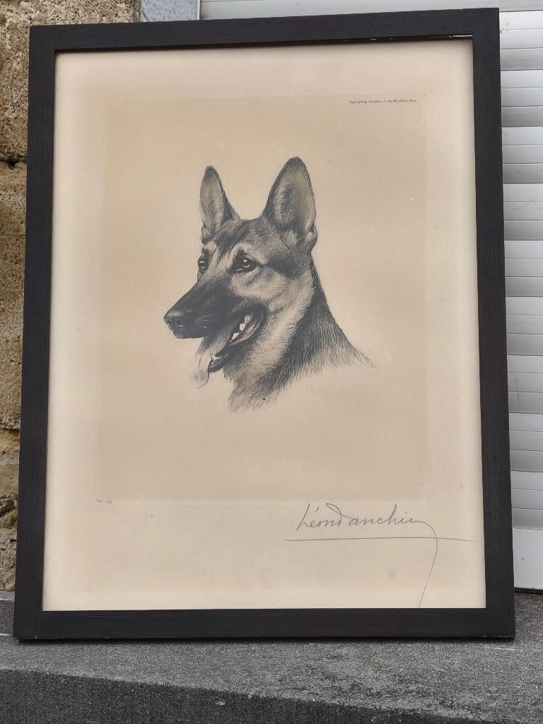 Gravure berger allemand signe Léon danchin, Antiquités & Art, Enlèvement ou Envoi, Gravure
