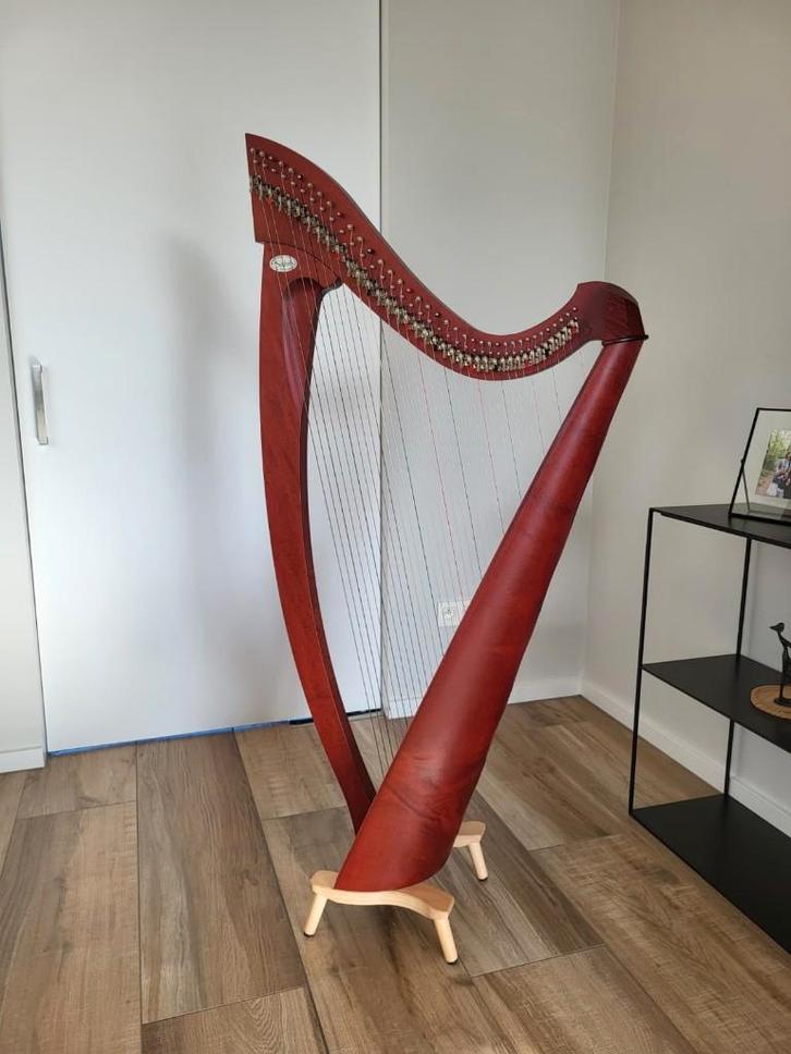 Harpe Salvi Titan D 38 cordes, Musique & Instruments, Instruments à corde | Harpes, Comme neuf, Enlèvement