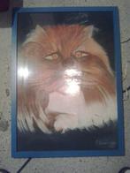 grote kader schilderij poes kat, Enlèvement ou Envoi