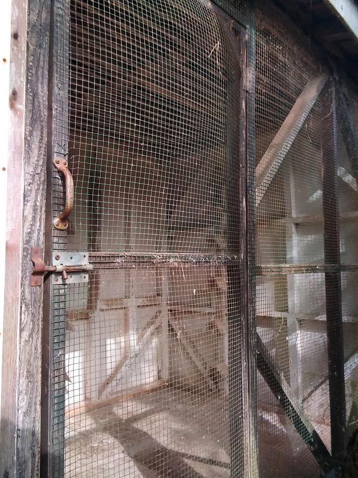 VENTE DE VOLIÈRES, Animaux & Accessoires, Oiseaux | Pigeons