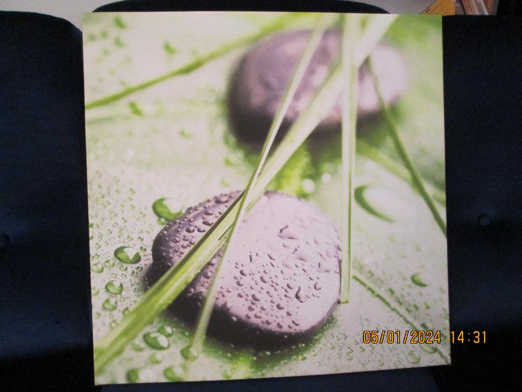 Cadre toile sur bois., Huis en Inrichting, Woonaccessoires | Lijsten, Overige materialen, Ophalen