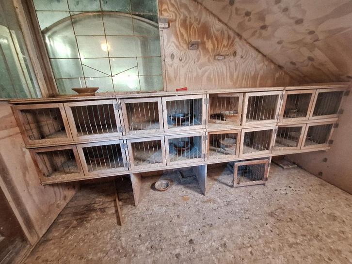 Accessoires voor duiven (hekjes, eetbakken, schaaltjes), Animaux & Accessoires, Oiseaux | Pigeons