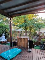 Stacaravan met 2 slaapkamers, Caravans en Kamperen