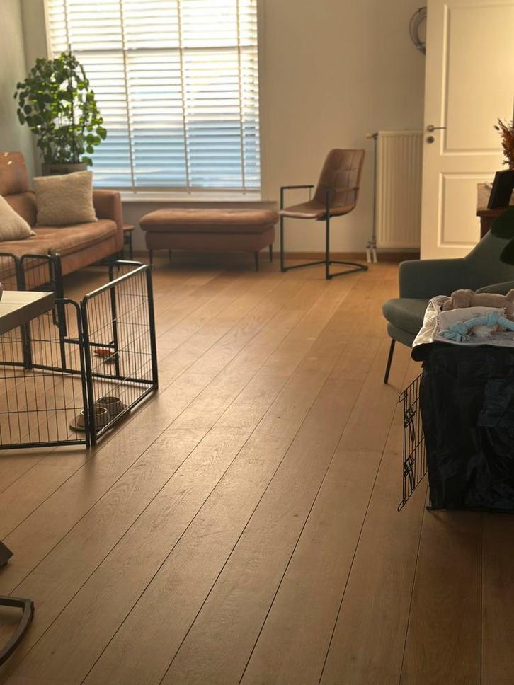 Massieve eiken plankenvloer, Bricolage & Construction, Bois & Planches, Utilisé, Planche, Chêne, 250 à 300 cm, 25 à 50 mm, Enlèvement