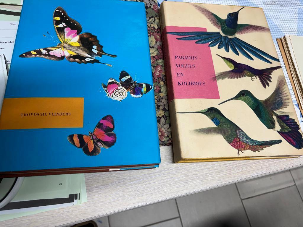 Verzamelboeken en prentjes  Artis, Enlèvement, Comme neuf