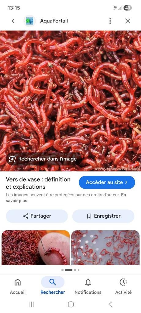 Epuisette, tamis, Enlèvement