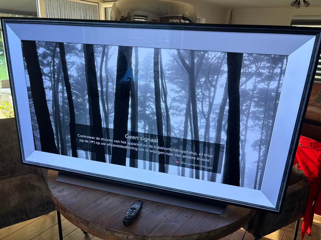 LG OLED65C9PLA, Ophalen, 50 Hz, OLED, Zo goed als nieuw